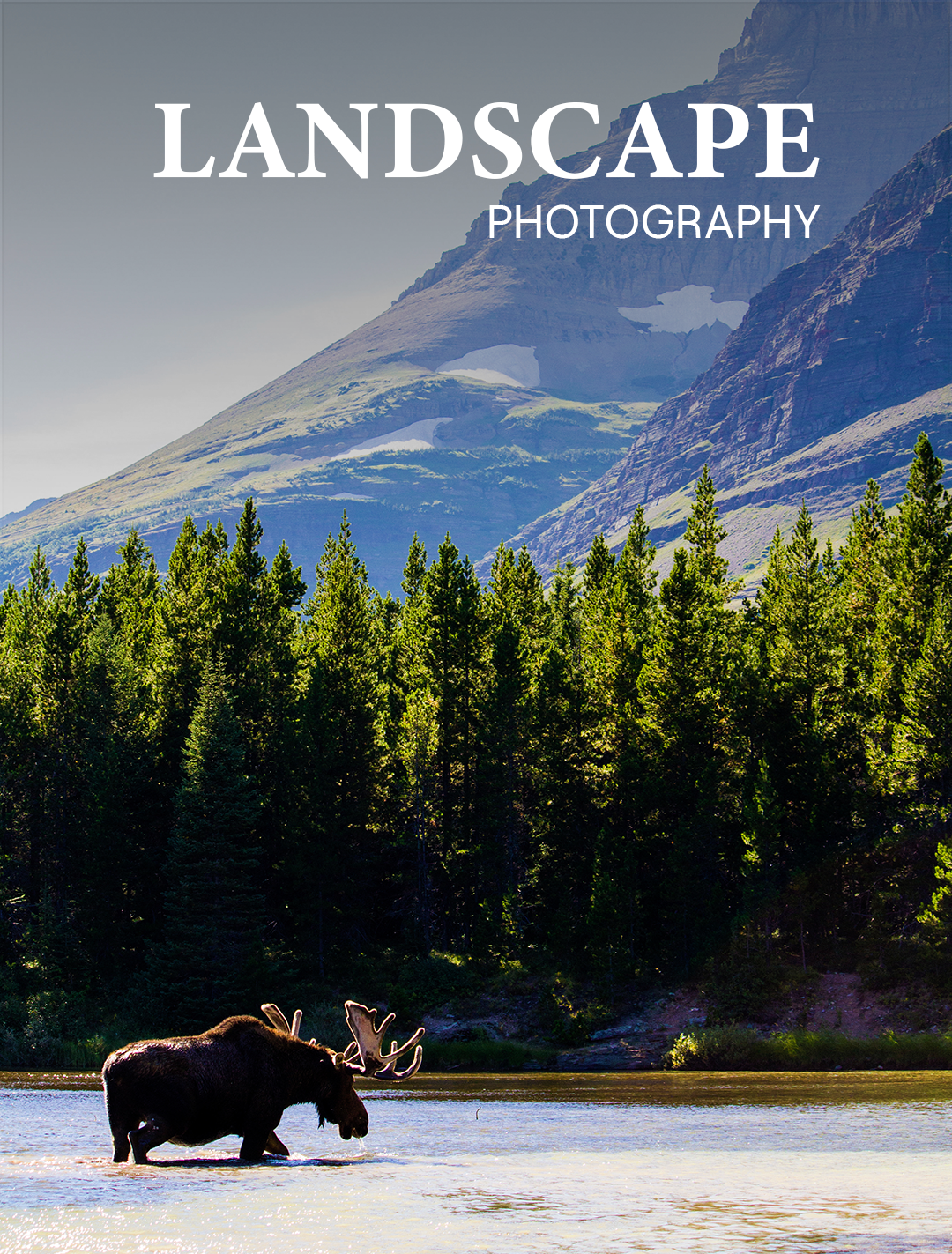 Landscape-Photography2